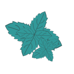 mint